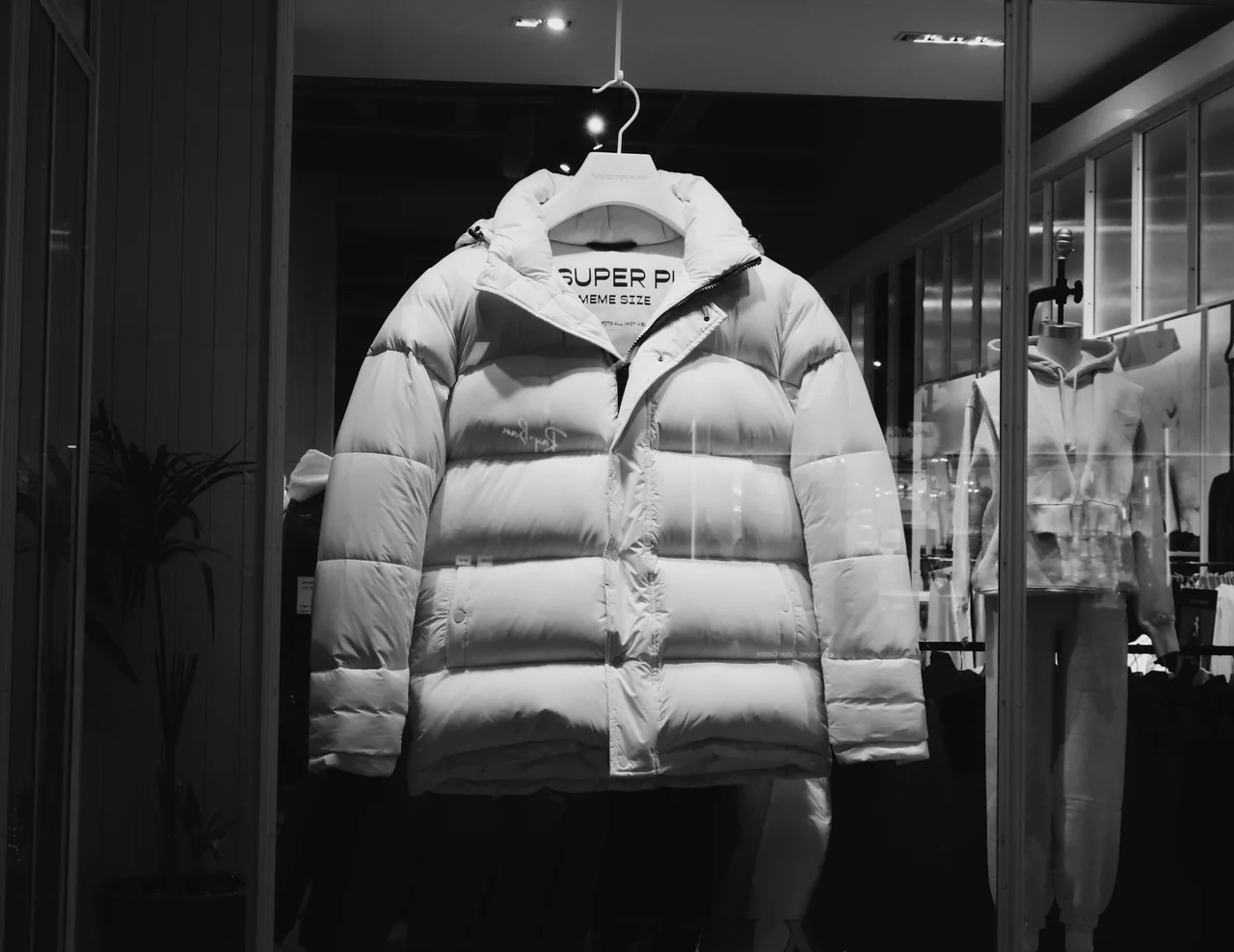 Puffer & Leather Jackets